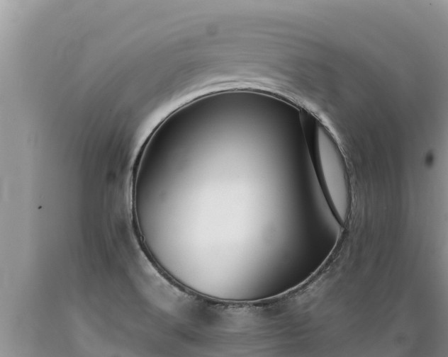 X0000089351516200706221128