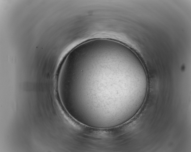X0000089351517200706221128