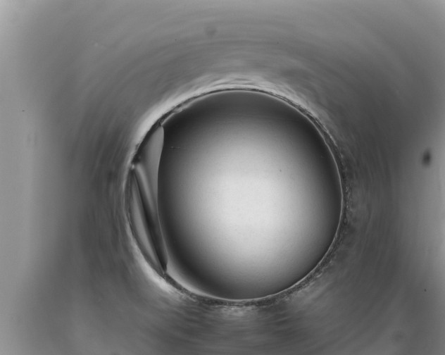 X0000089351519200706221128