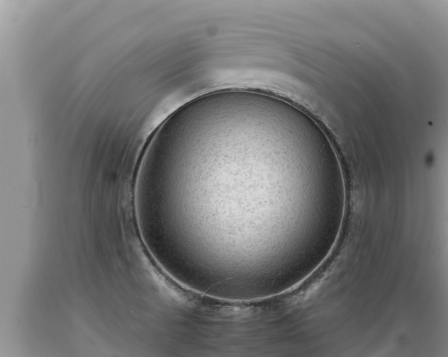X0000089351521200706221128