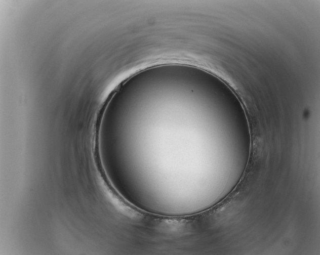 X0000089351523200706221128