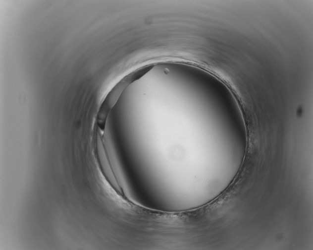 X0000089351524200706221128