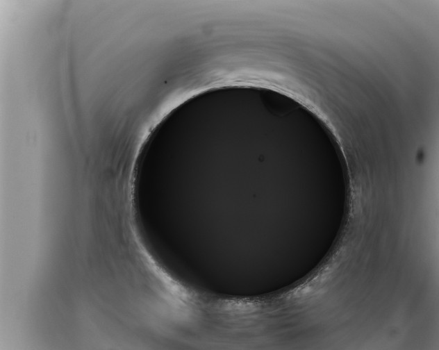 X0000089351525200706221128
