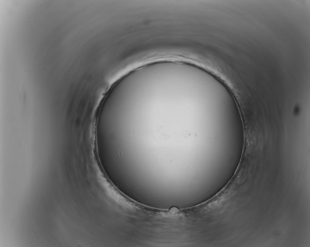 X0000089351526200706221128