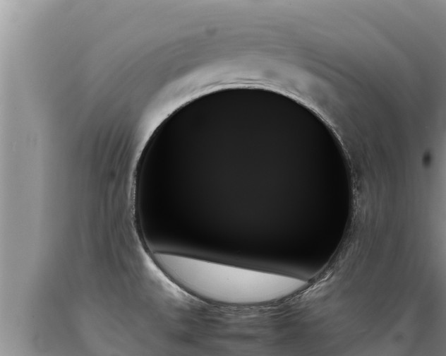 X0000089351527200706221128