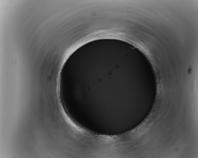 X0000089351528200706221128