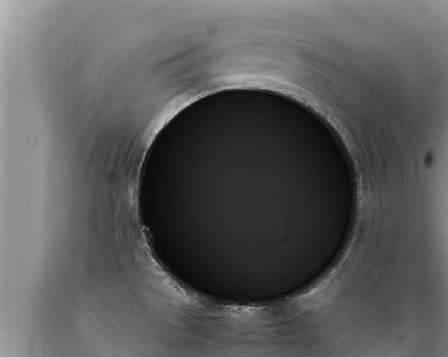 X0000089351529200706221128