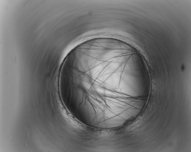 X0000089351530200706221128