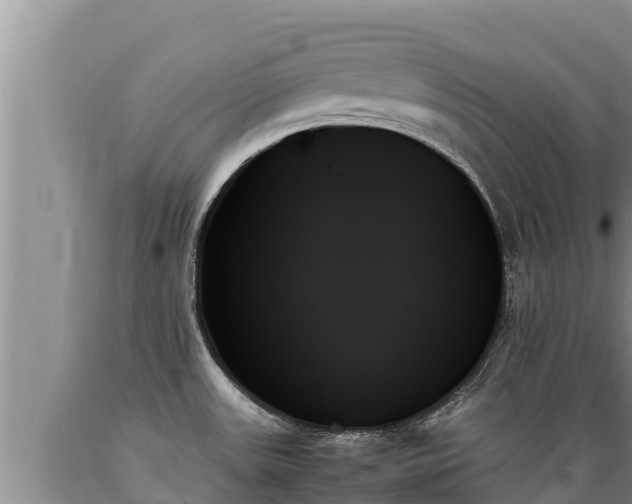 X0000089351531200706221128