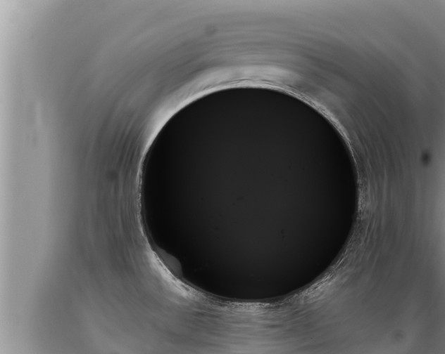 X0000089351532200706221128