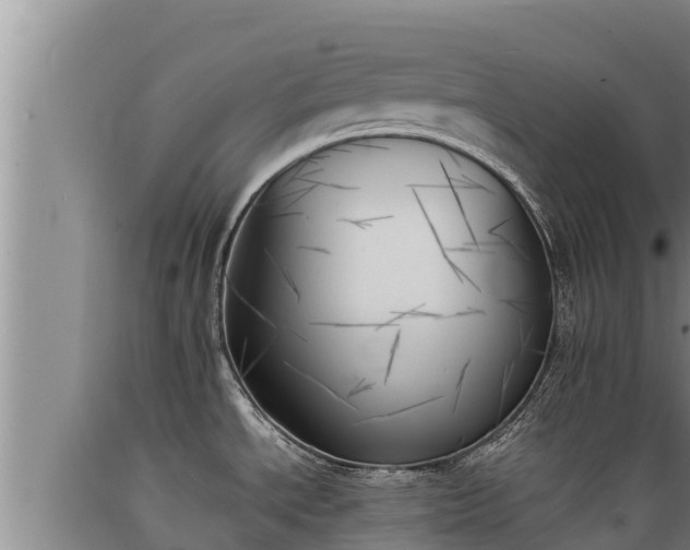 X0000089351534200706221128