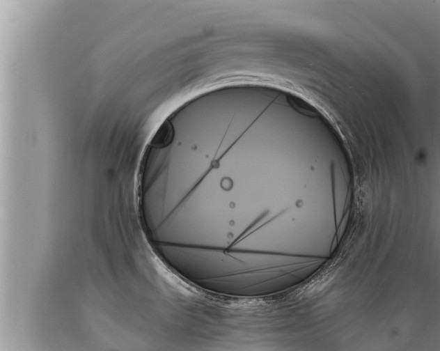X0000089351535200706221128