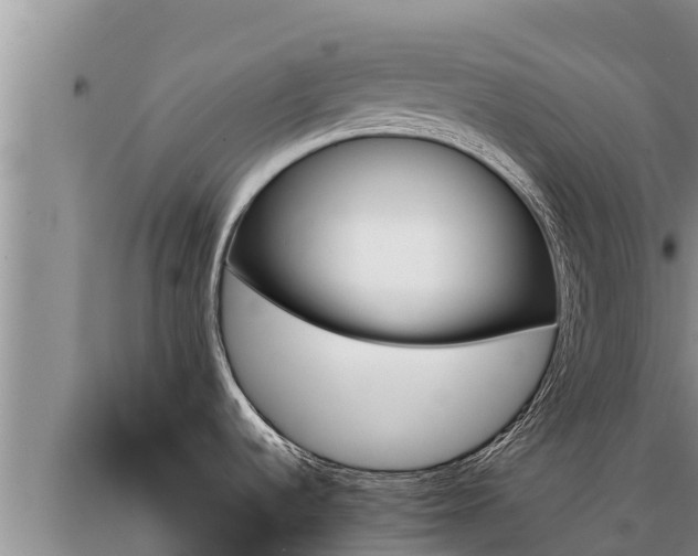 X0000089351536200706221128