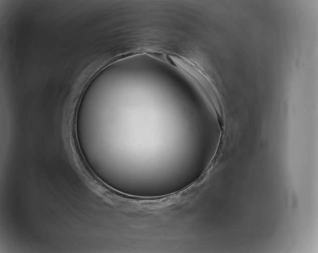 X0000089350001200706291030