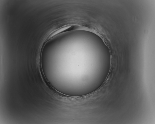 X0000089350003200706291030