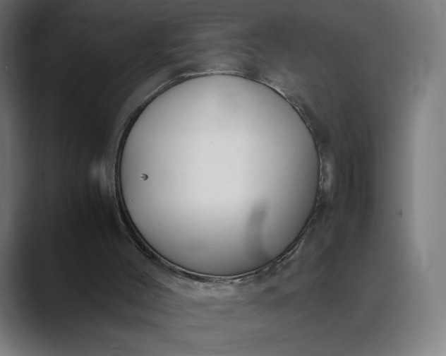 X0000089350004200706291030