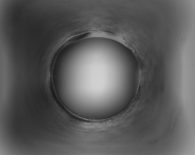 X0000089350005200706291030