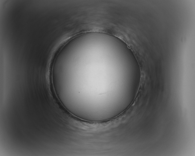X0000089350006200706291030
