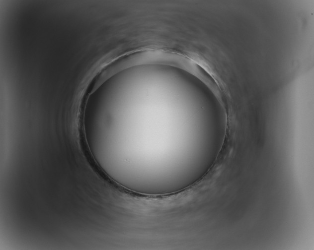 X0000089350007200706291030
