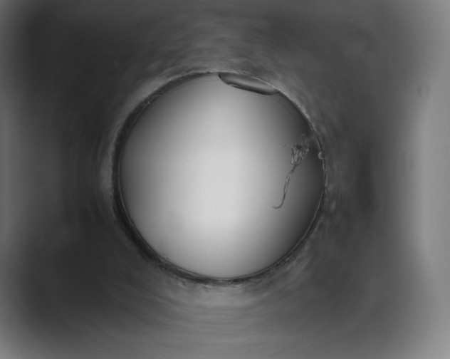 X0000089350008200706291030