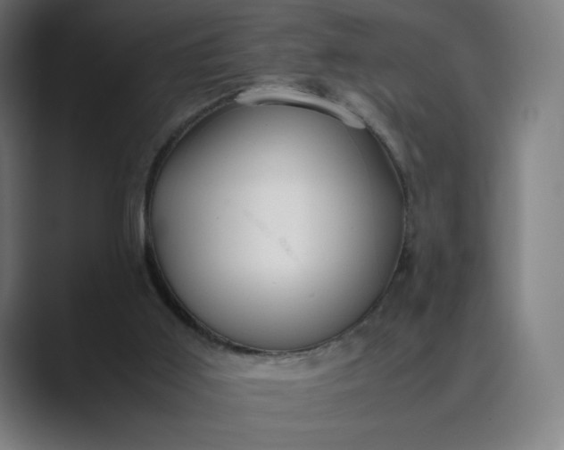 X0000089350011200706291030