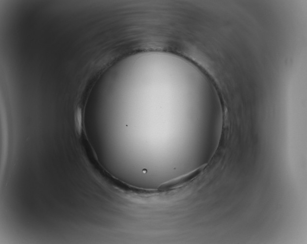 X0000089350013200706291030