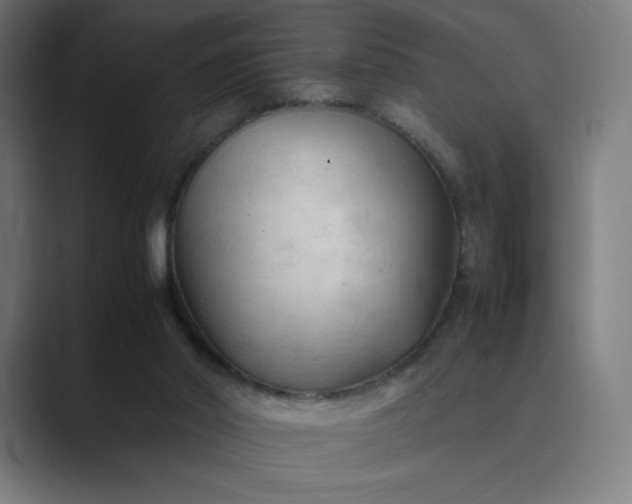X0000089350014200706291030