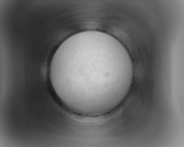 X0000089350016200706291030