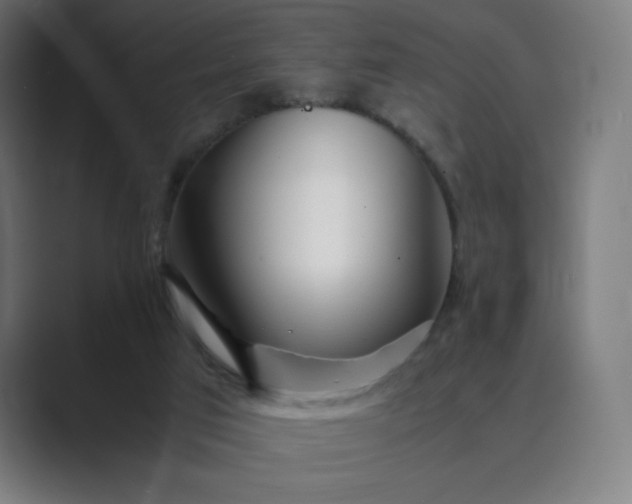 X0000089350017200706291030