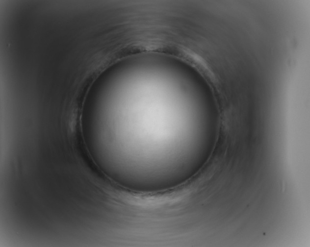 X0000089350018200706291030