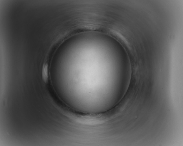 X0000089350020200706291030
