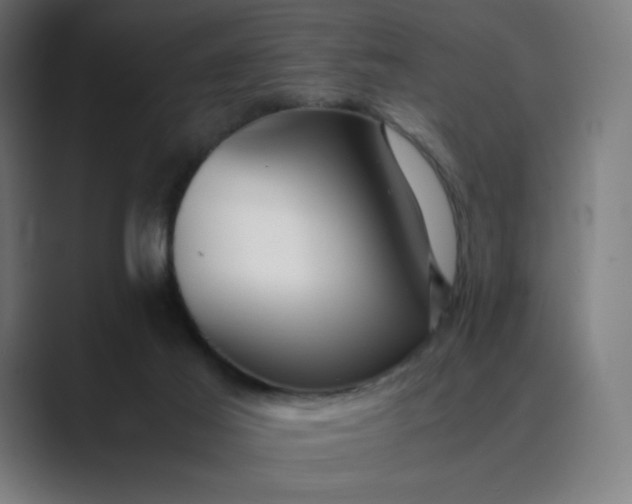 X0000089350021200706291030