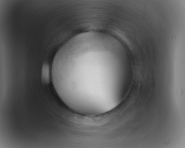 X0000089350022200706291030