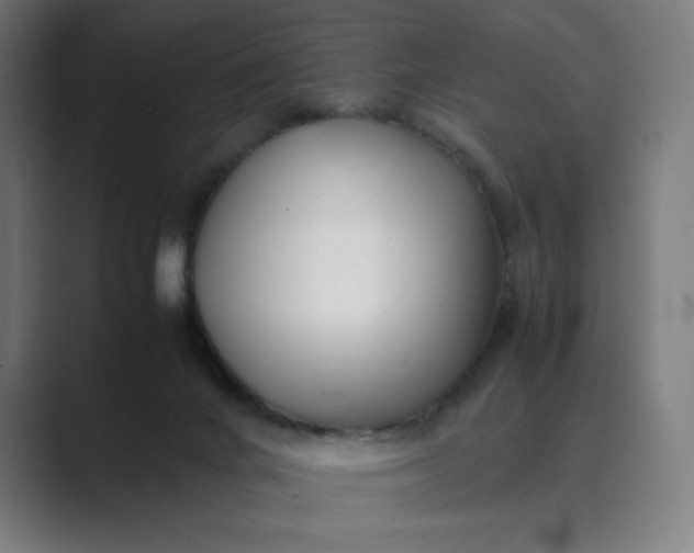X0000089350024200706291030