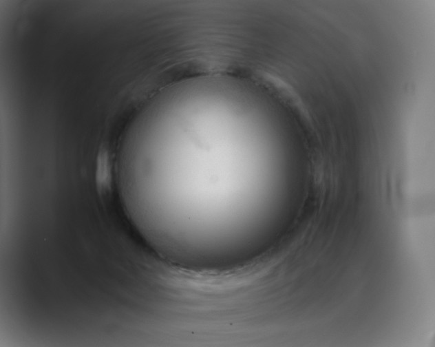 X0000089350026200706291030
