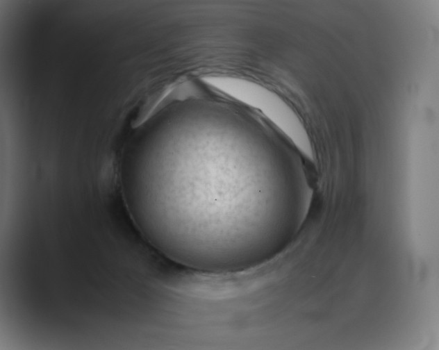 X0000089350029200706291030