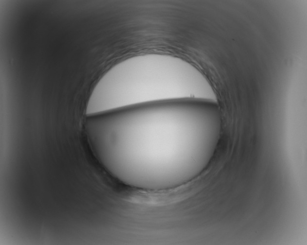 X0000089350033200706291030