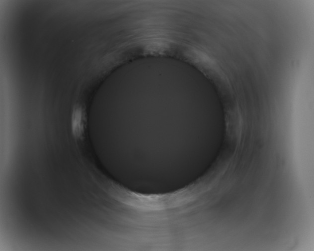 X0000089350038200706291030