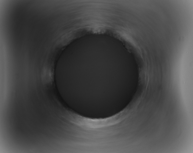 X0000089350039200706291030