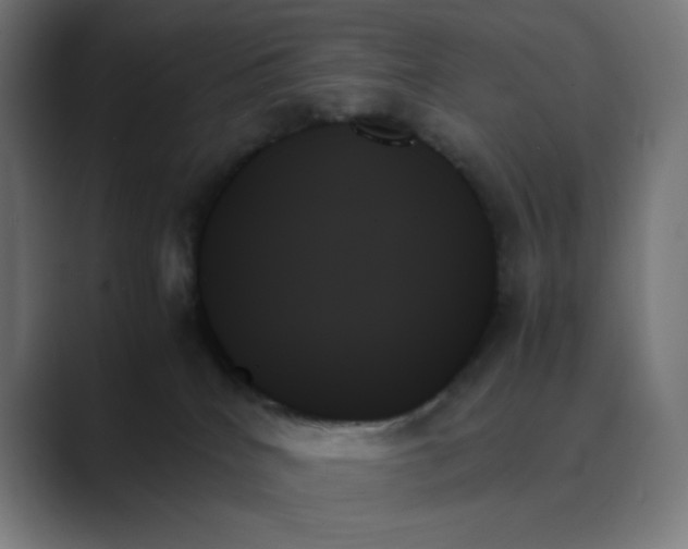 X0000089350040200706291030