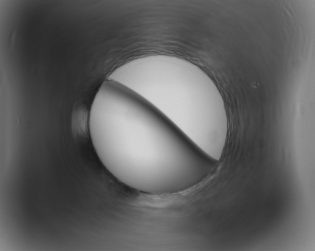 X0000089350041200706291030
