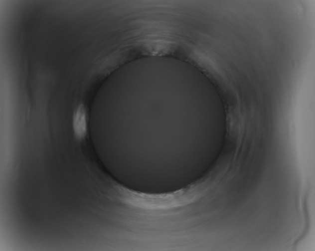 X0000089350042200706291030