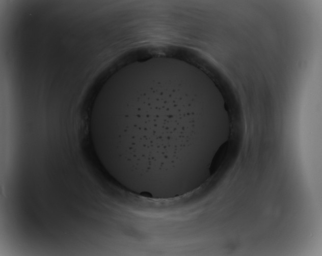 X0000089350043200706291030