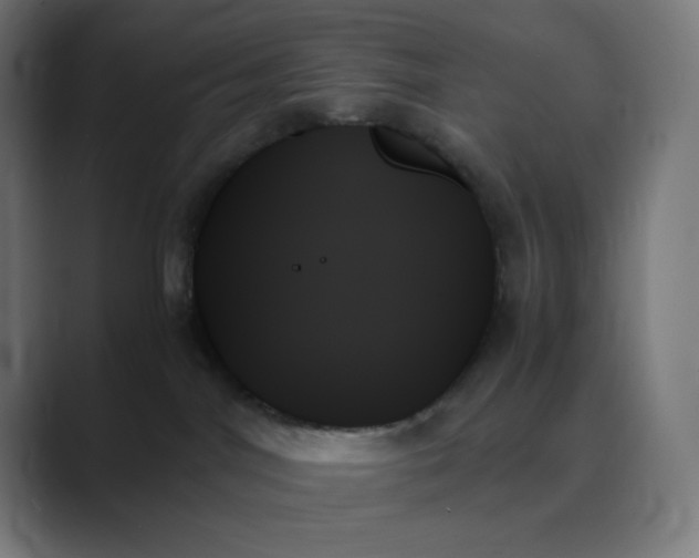 X0000089350044200706291030