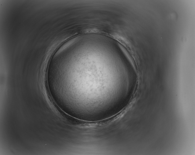 X0000089350049200706291029