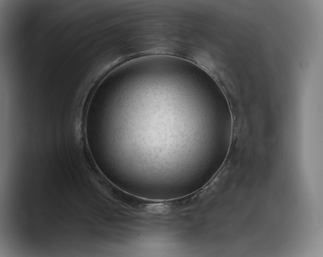 X0000089350050200706291029