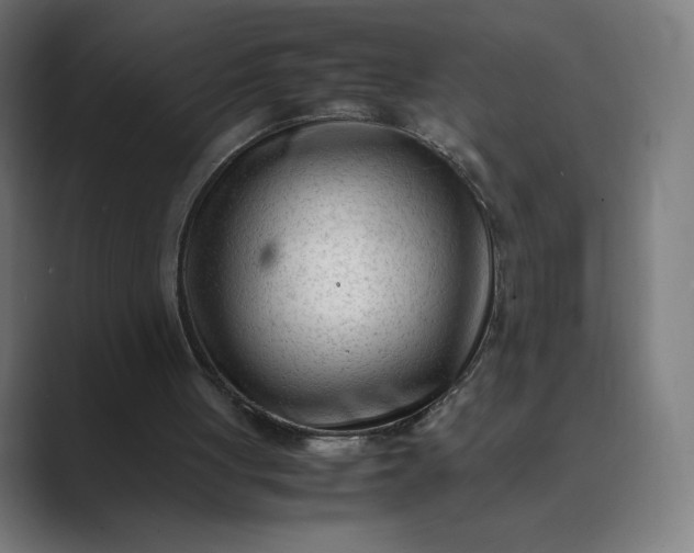 X0000089350051200706291029