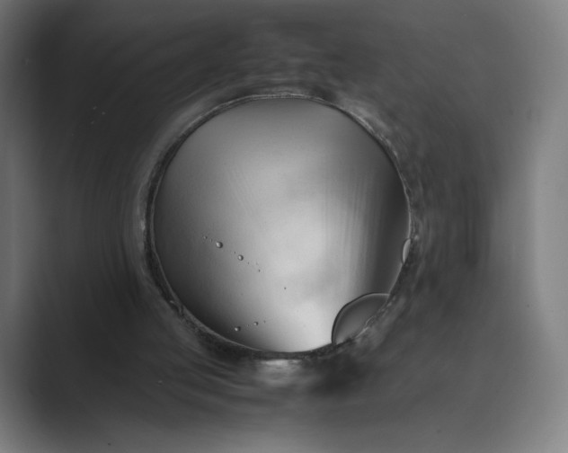X0000089350053200706291029