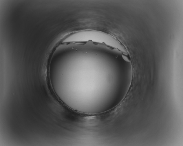 X0000089350054200706291029