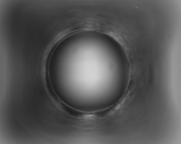 X0000089350055200706291029